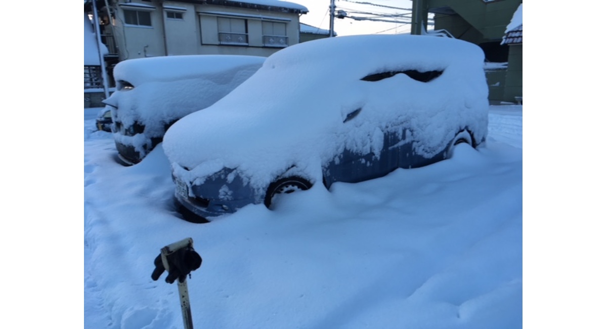 雪に埋もれた車